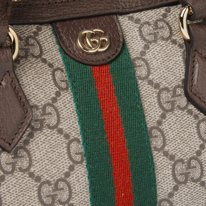 Sac Boston Ophidia mini format