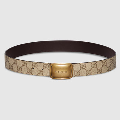 Belt with plaque buckle